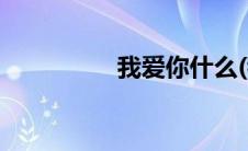 我爱你什么(我爱你she)