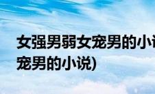 女强男弱女宠男的小说推荐晋江(女强男弱女宠男的小说)