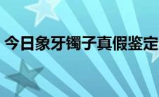 今日象牙镯子真假鉴定（象牙手镯如何鉴定）