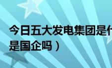 今日五大发电集团是什么级别（五大发电集团是国企吗）