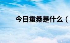 今日蚕桑是什么（蚕桑是什么意思）
