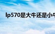 lp570是大牛还是小牛（lp700是大牛吗）