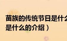 苗族的传统节日是什么（关于苗族的传统节日是什么的介绍）