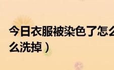 今日衣服被染色了怎么洗掉（衣服被染色了怎么洗掉）