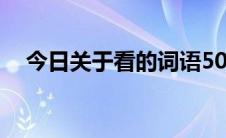 今日关于看的词语50个（关于看的词语）