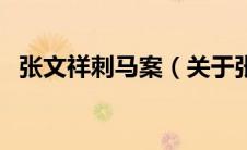 张文祥刺马案（关于张文祥刺马案的介绍）