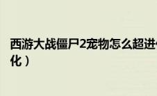 西游大战僵尸2宠物怎么超进化（西游大战僵尸2宠物怎么进化）