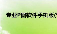 专业P图软件手机版(专业p图软件电脑版)