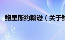 鲍里斯约翰逊（关于鲍里斯约翰逊的介绍）