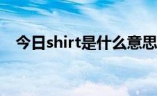 今日shirt是什么意思（coat是什么意思）