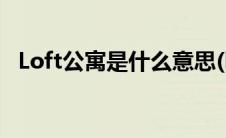 Loft公寓是什么意思(loft公寓是什么意思)