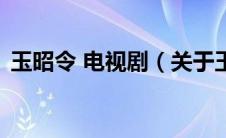 玉昭令 电视剧（关于玉昭令 电视剧的介绍）