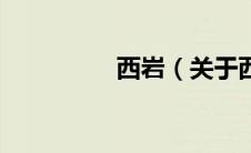 西岩（关于西岩的介绍）