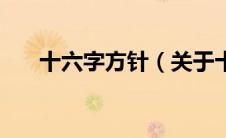 十六字方针（关于十六字方针的介绍）