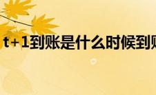 t+1到账是什么时候到账(t 1到账是什么意思)