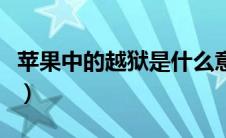 苹果中的越狱是什么意思（苹果越狱什么意思）