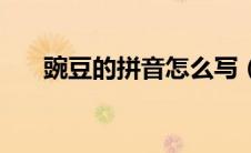 豌豆的拼音怎么写（词语豌豆的拼音）
