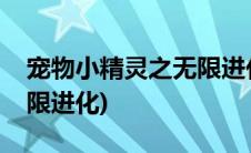 宠物小精灵之无限进化小说(宠物小精灵之无限进化)