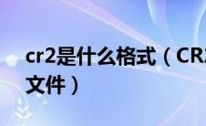 cr2是什么格式（CR2是佳能相机RAW格式文件）