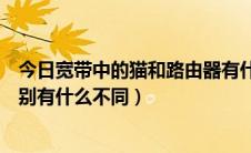 今日宽带中的猫和路由器有什么区别（宽带猫和路由器的区别有什么不同）