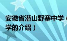 安徽省潜山野寨中学（关于安徽省潜山野寨中学的介绍）