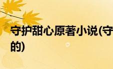 守护甜心原著小说(守护甜心的小说 已经完结的)