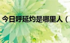 今日呼延灼是哪里人（呼延灼是什么样的人）
