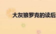 大灰狼罗克的读后感（大灰狼罗克）