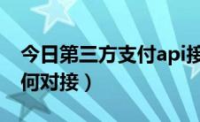 今日第三方支付api接口（第三方支付接口如何对接）