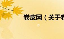 卷皮网（关于卷皮网的介绍）