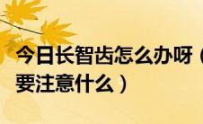 今日长智齿怎么办呀（长智齿怎么办长智齿需要注意什么）