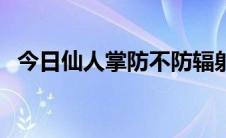 今日仙人掌防不防辐射（仙人掌防辐射吗）