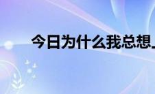 今日为什么我总想上办公室的女同事