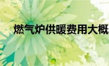 燃气炉供暖费用大概多少（燃气炉供暖）