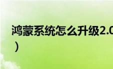 鸿蒙系统怎么升级2.0（升级鸿蒙系统的步骤）