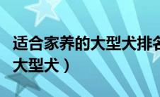 适合家养的大型犬排名阿拉斯加（适合家养的大型犬）