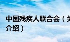 中国残疾人联合会（关于中国残疾人联合会的介绍）