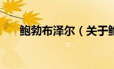 鲍勃布泽尔（关于鲍勃布泽尔的介绍）