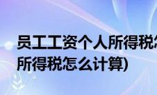 员工工资个人所得税怎么申报(员工工资个人所得税怎么计算)