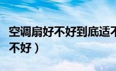 空调扇好不好到底适不适合加冰块（空调扇好不好）