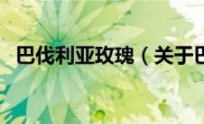 巴伐利亚玫瑰（关于巴伐利亚玫瑰的介绍）