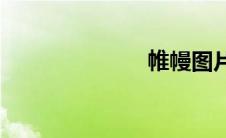 帷幔图片(帷幔)