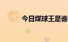 今日煤球王是谁（煤球哥是谁）