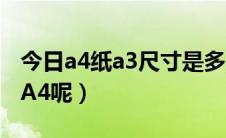今日a4纸a3尺寸是多少厘米（A3纸多大尺寸A4呢）