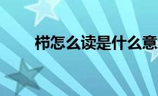 栉怎么读是什么意思（栉怎么读的）