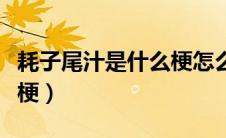 耗子尾汁是什么梗怎么回复（耗子尾汁是什么梗）