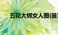 五花大绑女人图(最紧五花大绑后背图)