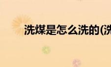 洗煤是怎么洗的(洗煤厂怎么洗煤的)