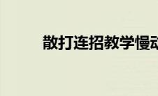 散打连招教学慢动作（散打连招）
