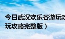 今日武汉欢乐谷游玩攻略官网（武汉欢乐谷游玩攻略完整版）